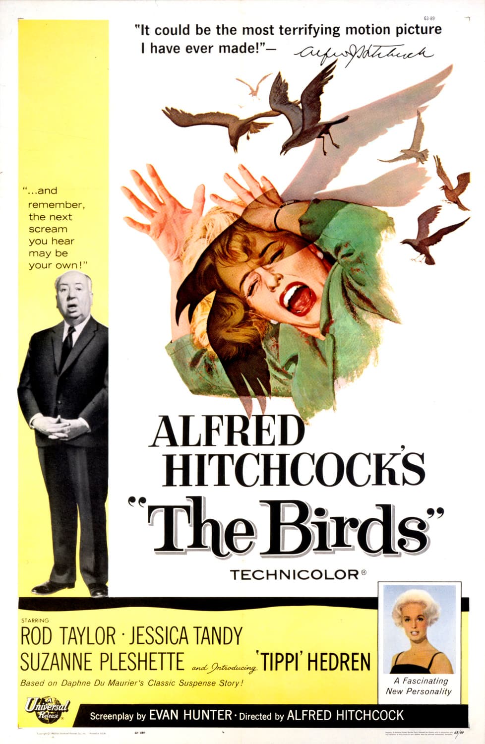 PAJAROS