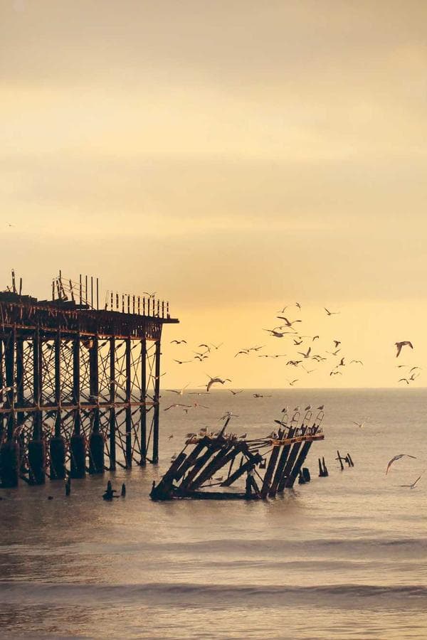 Messi - Copa del Mundo 2022