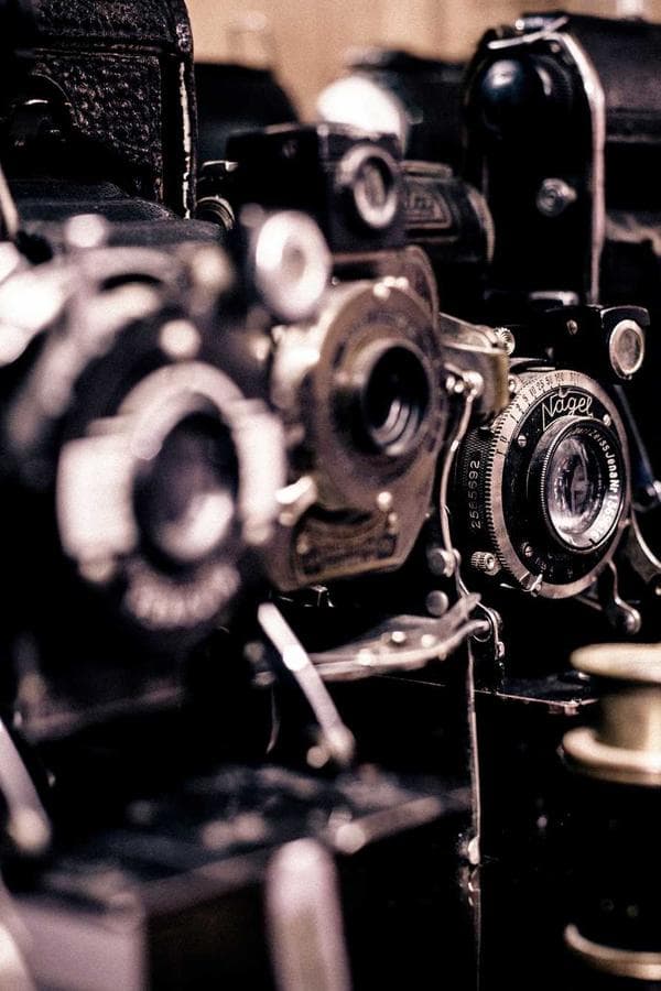 Els Gira-sols - Van Gogh